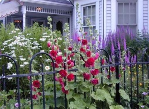 фото отеля Yelton Manor Bed and Breakfast