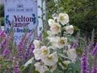 фото отеля Yelton Manor Bed and Breakfast