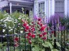 фото отеля Yelton Manor Bed and Breakfast