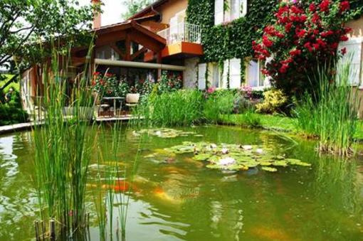 фото отеля Hotel Des Grands Vins