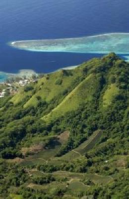 фото отеля Hilton Moorea Lagoon Resort and Spa