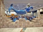 фото отеля Holiday Inn Express Hotel & Suites Norfolk International Airport
