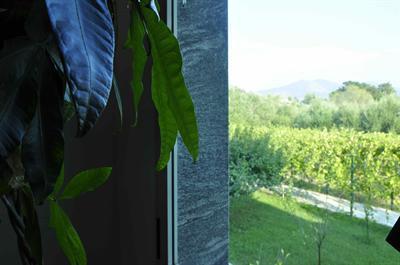 фото отеля Villa Liberti Bed & Breakfast Castellabate