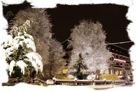 фото отеля Hotel Larice Bianco