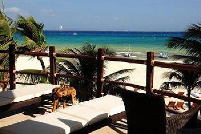 фото отеля El Taj Oceanfront & Beachside Condo Hotel