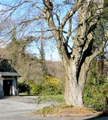 фото отеля Underwood Guest House Millom
