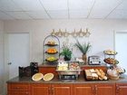 фото отеля BEST WESTERN PLUS Fort Myers Inn & Suites