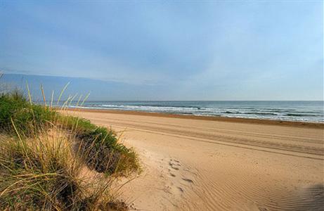 фото отеля Oliva Nova Golf Beach & Golf Hotel