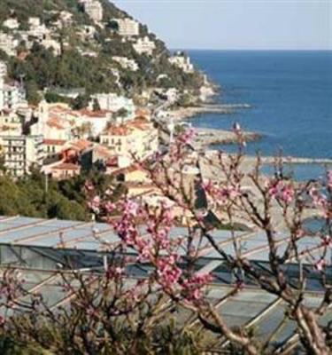 фото отеля Le Rocce Del Capo Hotel Ospedaletti