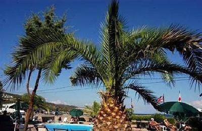 фото отеля Assos Eden Beach Hotel