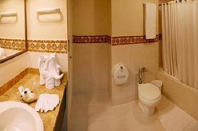 фото отеля Hotel Carretero