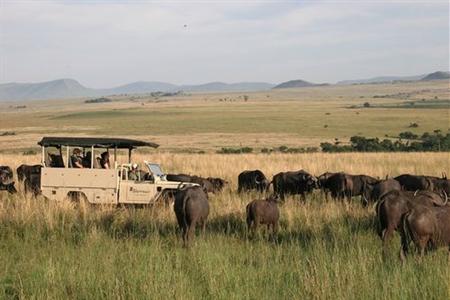 фото отеля Nkomazi Game Reserve Barberton