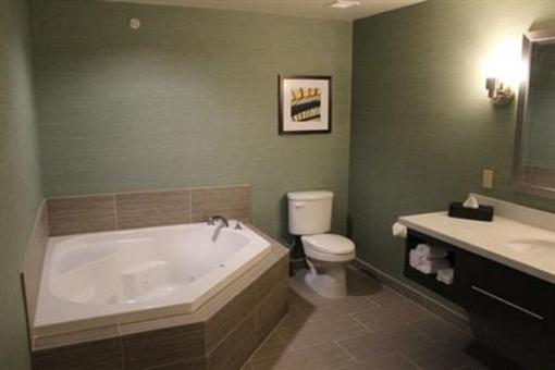 фото отеля Holiday Inn Texarkana Arkansas Convention Center