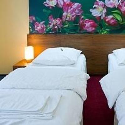 фото отеля Szarlota Hotel