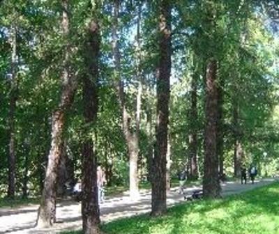 фото отеля Pokoje Goscinne Zlota Palma