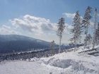 фото отеля Pokoje Goscinne Zlota Palma