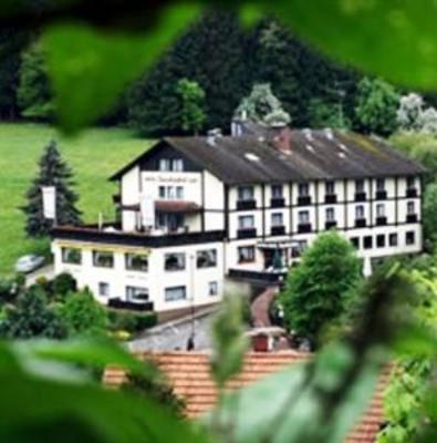 фото отеля Hotel Gassbachtal Nibelungen Cafe