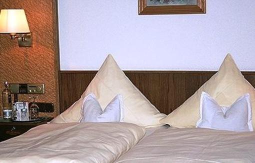 фото отеля Hotel Gassbachtal Nibelungen Cafe