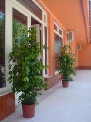фото отеля Hotel Giulia Eforie