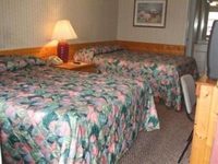 Black Bear Inn Pigeon Forge