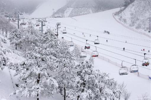 Vivaldi Ski Resort Korea
