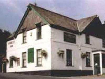 фото отеля The Forest Inn Hexworthy