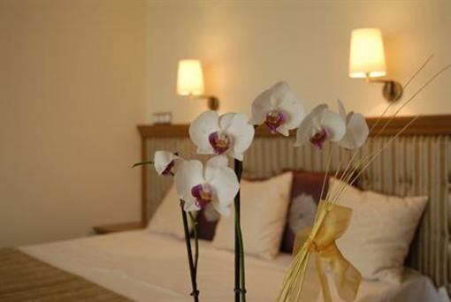 фото отеля Aphrodite Hotel Zalakaros
