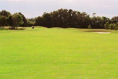 фото отеля BEST WESTERN Golf & Hotel du Gouverneur