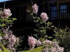 фото отеля BEST WESTERN Golf & Hotel du Gouverneur