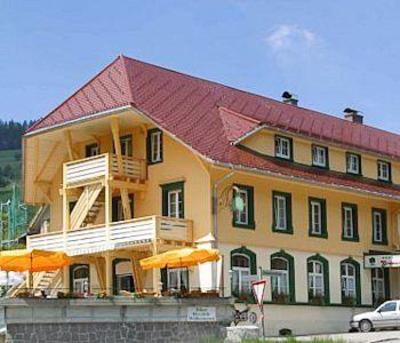 фото отеля Vitalhotel Grüner Baum Todtnau