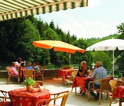 фото отеля Vitalhotel Grüner Baum Todtnau