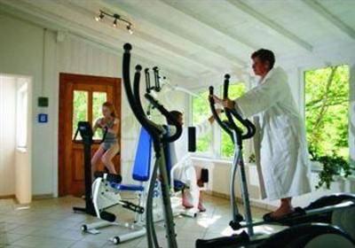 фото отеля Vitalhotel Grüner Baum Todtnau