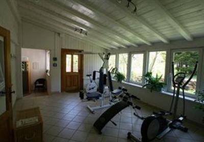 фото отеля Vitalhotel Grüner Baum Todtnau