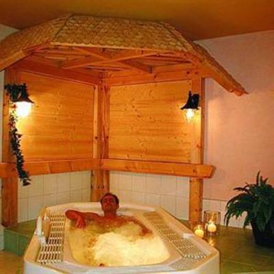 фото отеля Vitalhotel Grüner Baum Todtnau