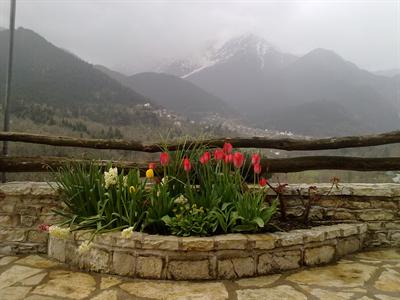 фото отеля Rizoma Guesthouse