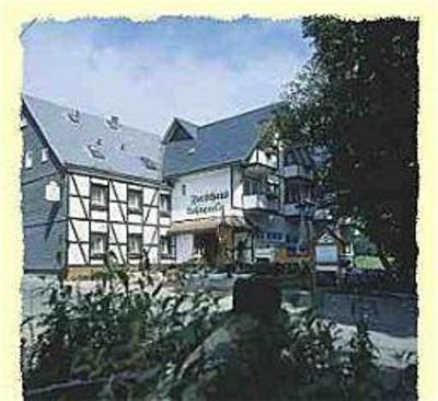 фото отеля Forsthaus Lahnquelle Hotel Netphen