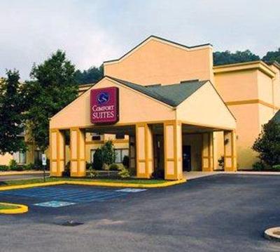 фото отеля Comfort Suites Prestonsburg
