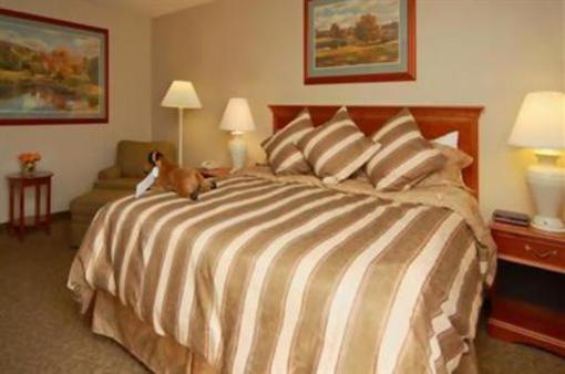 фото отеля Super 8 Motel Cody