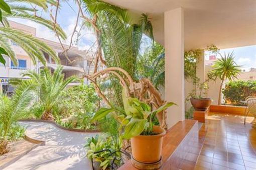 фото отеля Apartamentos Estanques Ses Salines