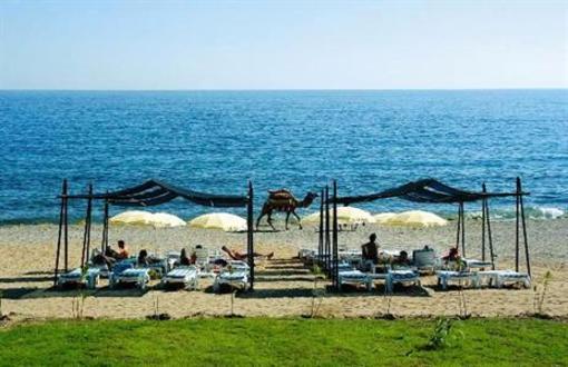фото отеля Vital Beach Hotel