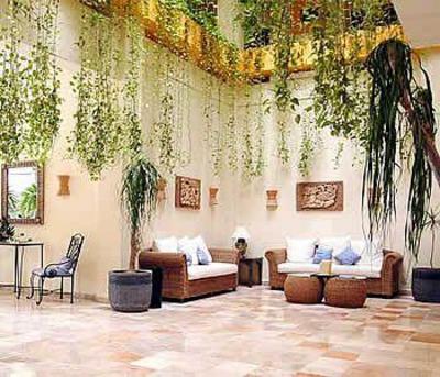 фото отеля Los Itzaes Hotel