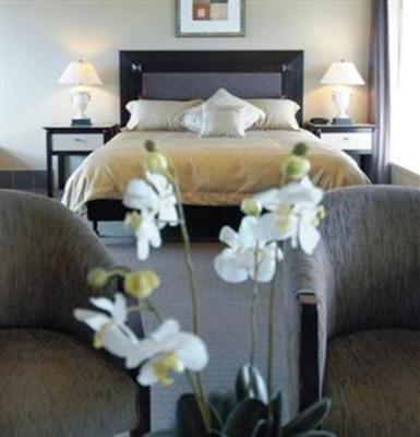 фото отеля Comfort Inn On Raglan
