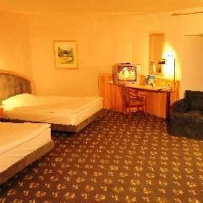 фото отеля Hotel Ringberg