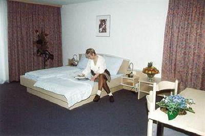 фото отеля Sonnenhotel Bayerischer Hof
