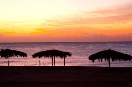 фото отеля InterContinental The Palace Port Ghalib Resort