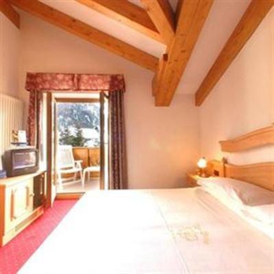 фото отеля Hotel Vienna San Martino di Castrozza