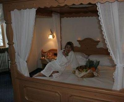 фото отеля Hotel Vienna San Martino di Castrozza