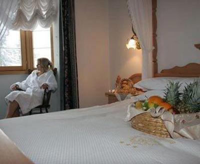 фото отеля Hotel Vienna San Martino di Castrozza