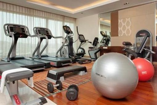 фото отеля Holiday Inn Mumbai International Airport