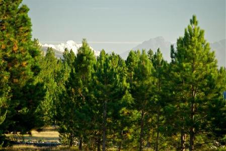 фото отеля Heartland Lodge